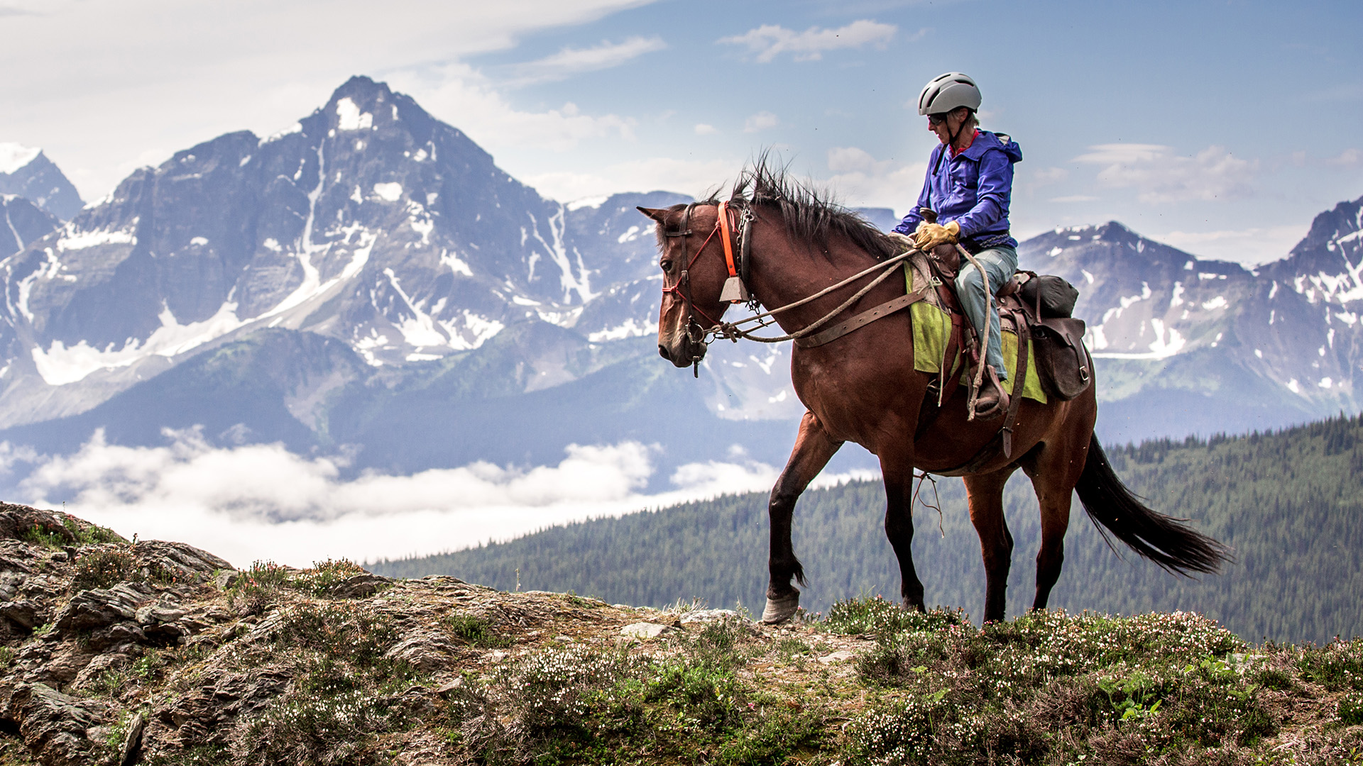 horseback-mtn