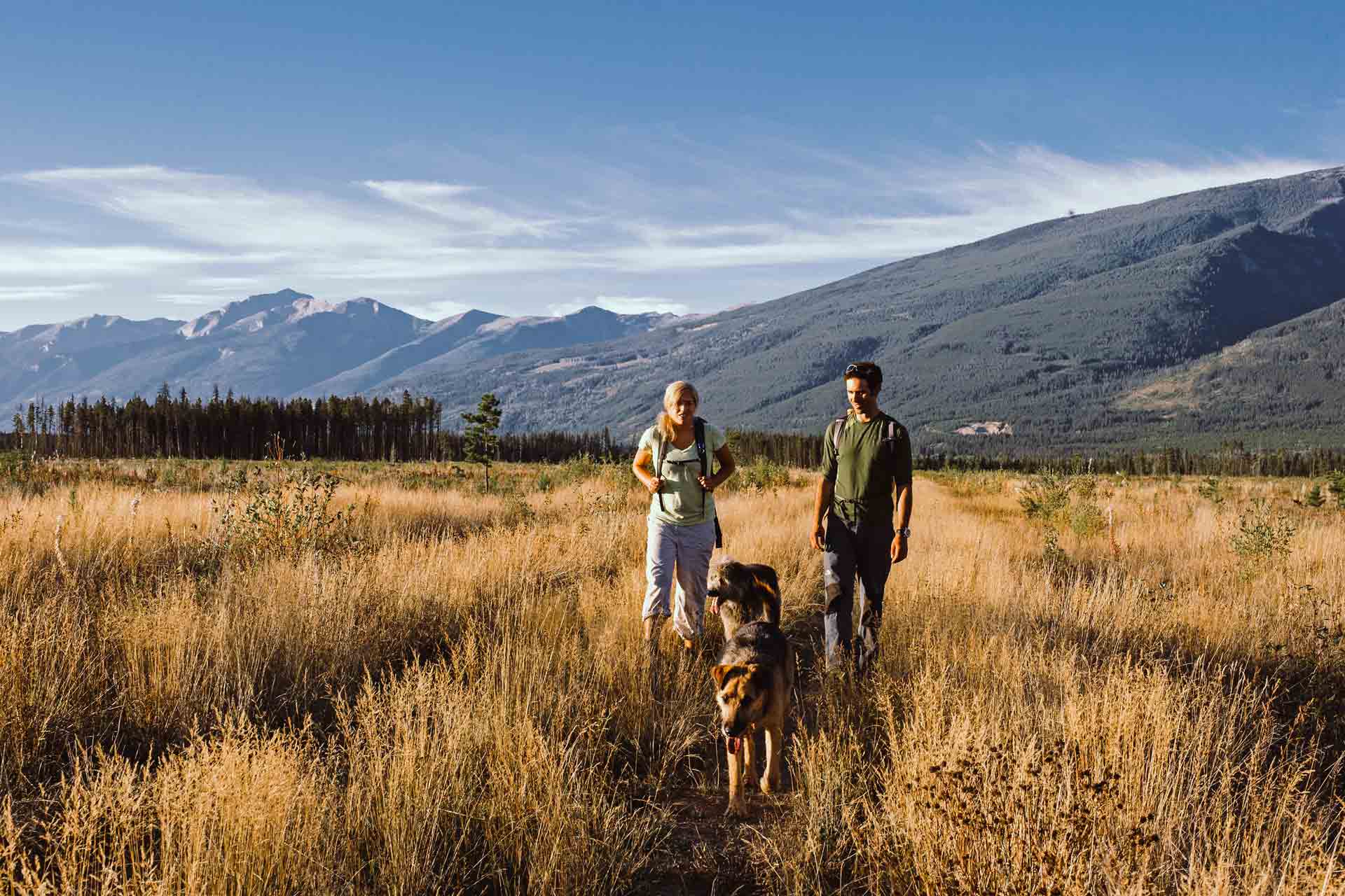 couple with their dogs enjoying the summer heat in the robson valley region
